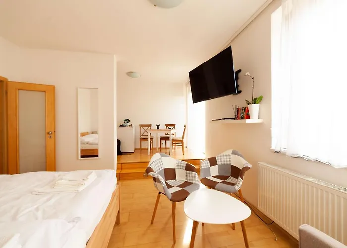 Appartement Vitkov Park