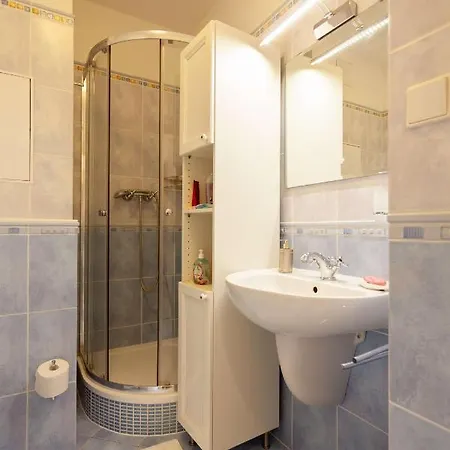 Vitkov Park Apartment *