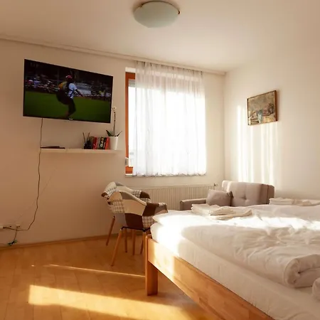 Apartment Vitkov Park Prague